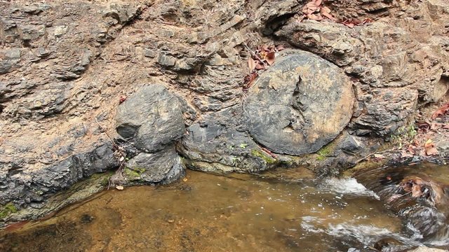 Puyango Petrified Forest in southern Ecuador.
