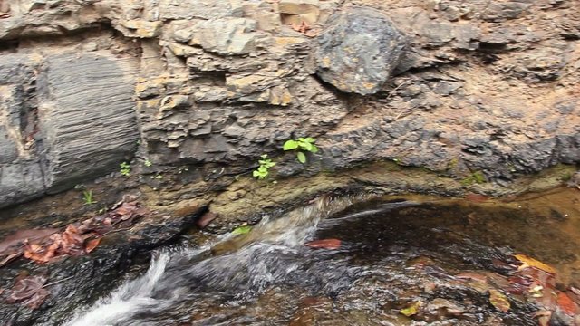 Puyango Petrified Forest in southern Ecuador.