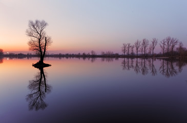 Obraz na płótnie Canvas Lake with tree at sunrise, Slovakia