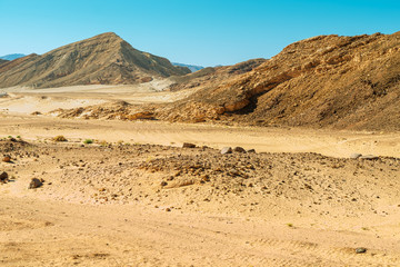 Desert with mountains. Sinai,  Egypt.