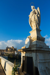 Obraz premium Detail of Roman bridge in Cordoba. Andalusia, Spain