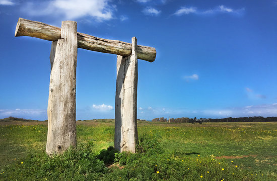 Wooden primitive shape in nature