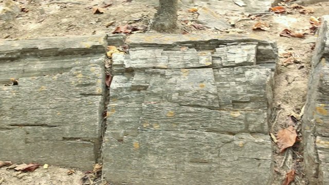 Puyango Petrified Forest in southern Ecuador.
