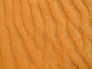 Red sand desert