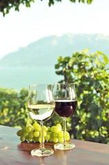 Wine ad grapes. Lavaux, Switzerland