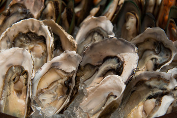 oyster on ice in restaurant