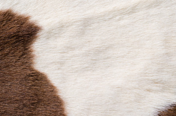 fur