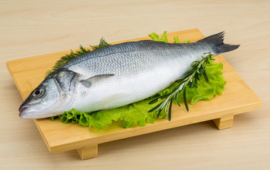 Raw seabass