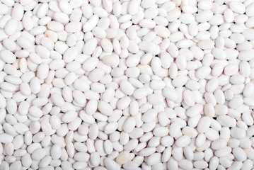 raw white beans on the board dietetic food