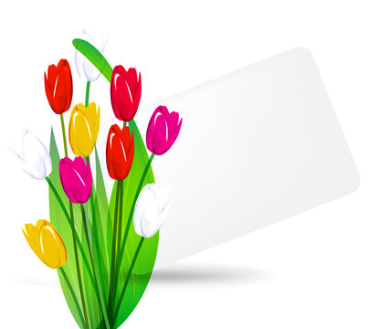 bouquet of tulips on a background sheet