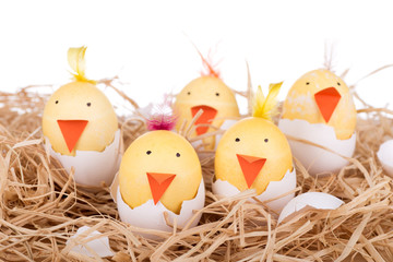 Group of Easter Egg Chicks