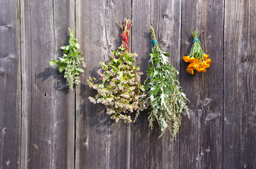 medical herbs and buckwheat bunch on wooden barn wall