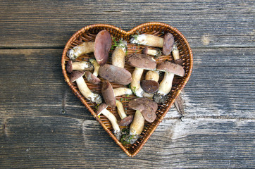 mushrooms cep boletus Xerocomus badius in heart form basket