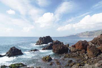 Canical, Madeira, Portugal, Europe
