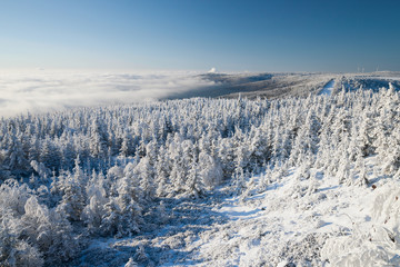 Fototapeta na wymiar Winterlandschaft