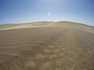 Tracks in Namib desert near Swakopmund, Namibia, Africa