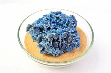 Blue desert rose 1