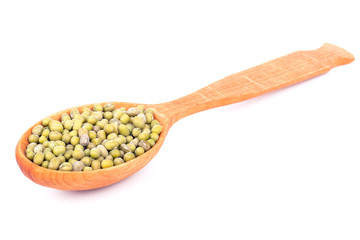 Green lentils in a spoon