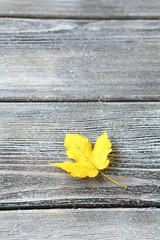 Yellow leaf on wooden boards