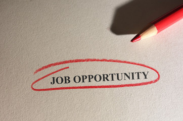 Job Opportunity