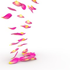 Obraz na płótnie Canvas Rose petals on isolated background