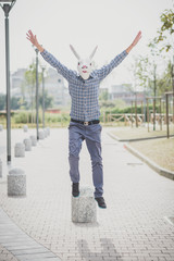rabbit mask absurd man