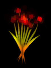 Tulip abstract