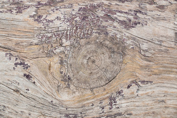 Wooden abstract background