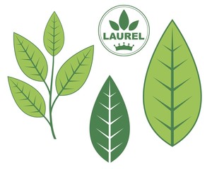 Laurel