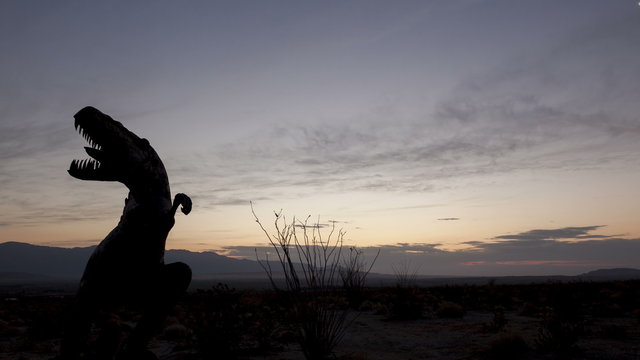 4K time lapse close up desert sunrise dinosaur silhouette