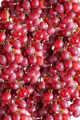 Se di grappoli di uva, insieme di uva, cassetta di uva