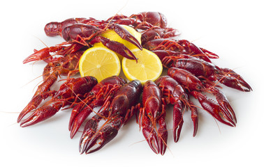 Aperitivo de marisco