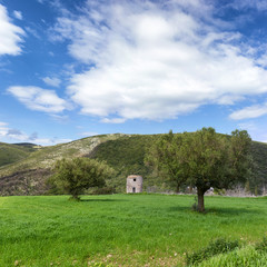 Obraz premium landscape of zante island