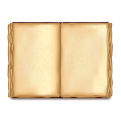 Old opened book isolated on white vector