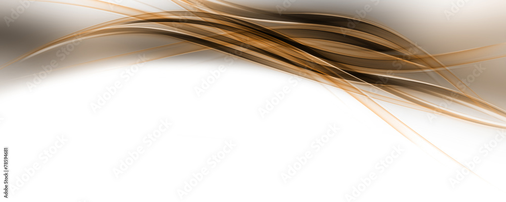 Poster abstract elegant wave panorama background design with space for your text