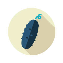 Cucumber flat icon with long shadow