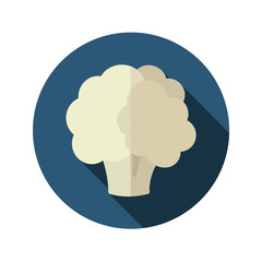 Cauliflower flat icon with long shadow