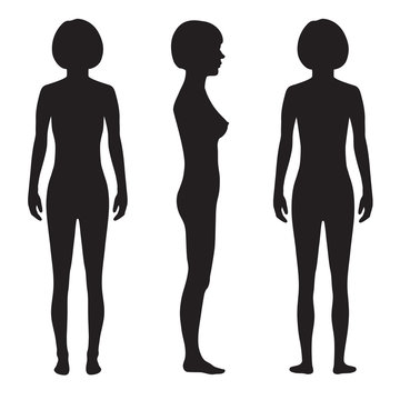 human body anatomy,front, back side, vector woman silhouette