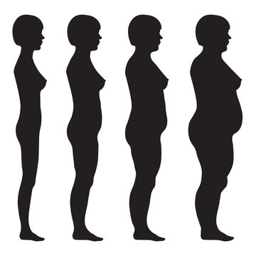 vector fat body, weight loss, overweight silhouette