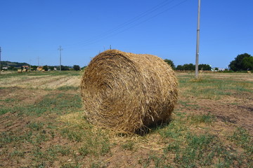 Balla di Fieno, Fano