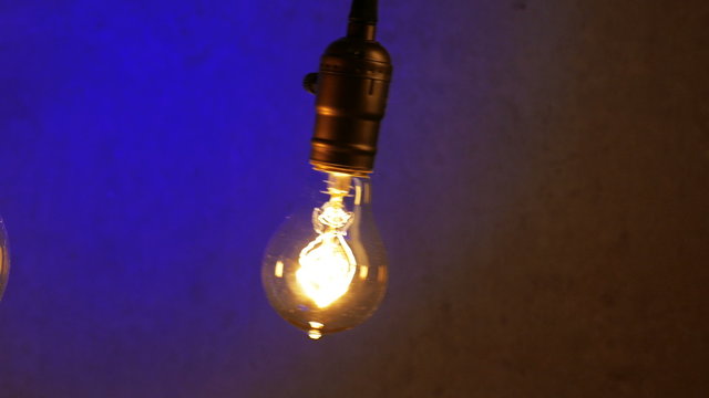 Vintage Retro Edison Lamp Light Bulb