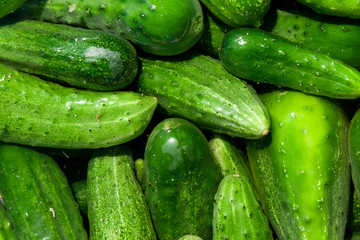 cucumbers