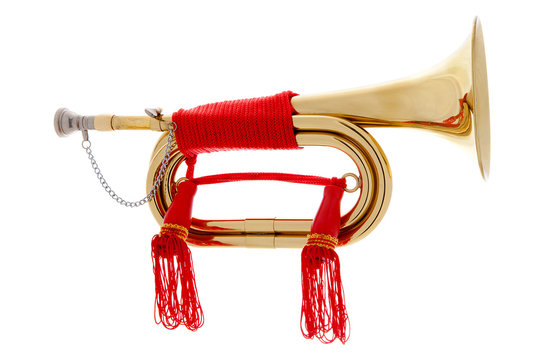 Golden horn over white background