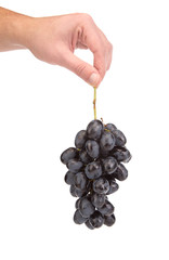 Black grapes in hand.