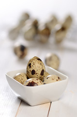 Quail eggs