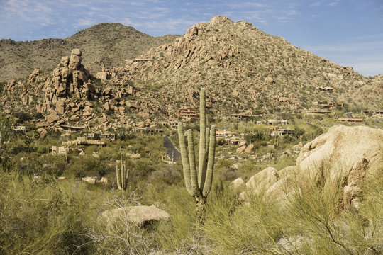 Arizona, desert valley landscape near Phoenix,Scottsdale,USA