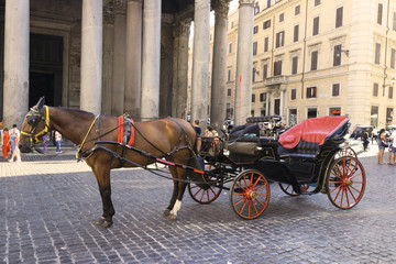 Fototapeta na wymiar city of Rome