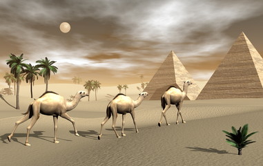 Fototapety  Wielbłądy i piramidy - renderowanie 3D