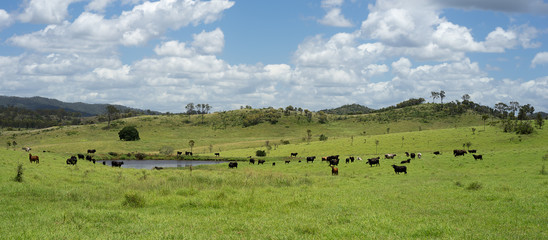 Queensland Cloudy Sky Summer Rural Scene