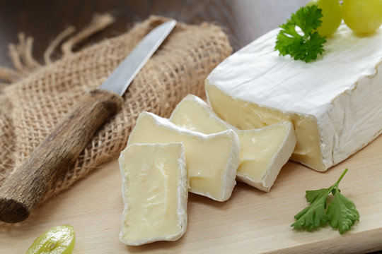Edelschimmel 916 Stock Adobe Stock edelschimmel-916-stock-adobe-stock